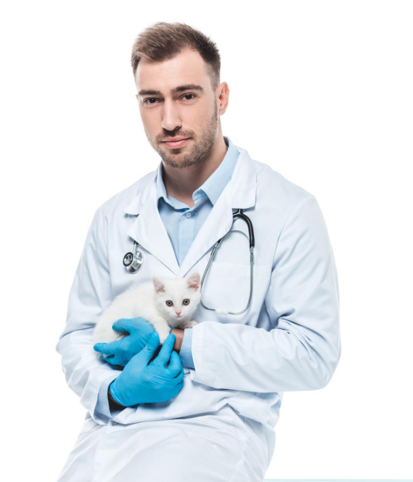 doctor1