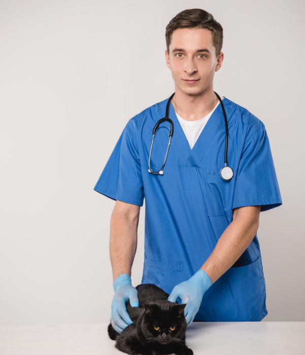 doctor3